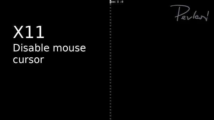 How To Disable Mouse Cursor in X11 [UNIX]