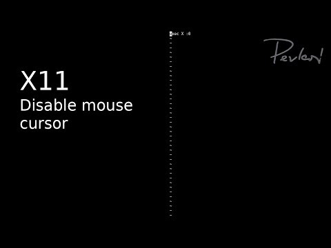 How To Disable Mouse Cursor in X11 [UNIX]