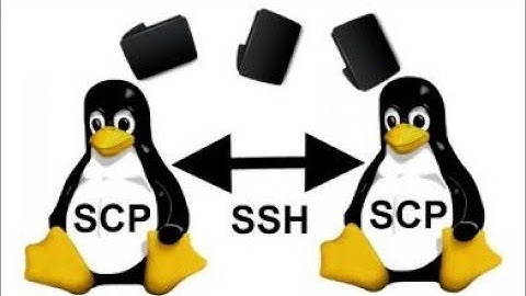 How to use Putty, WinSCP and Why they are useful?