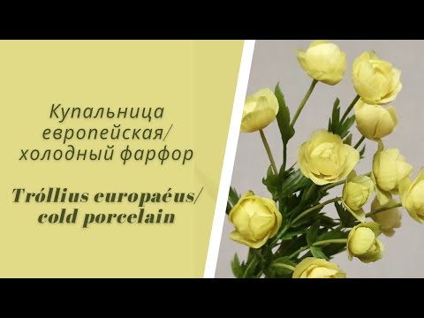 Купальница/холодный фарфор/жарки/простой способ/для начинающих/Trollius europaeus/cold porcelain