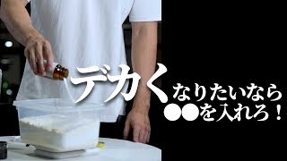 特製バルクアッププロテインの作り方【筋トレ】