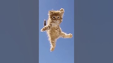 What was the last guy doing😭 #cs2 #csgo #counterstrike #cs2clips #faceit