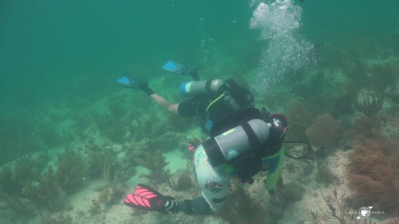 Get certified with Grove Scuba, Miami. YouTube