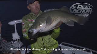 Murray Cod on Soft Plastics with Michael Guest