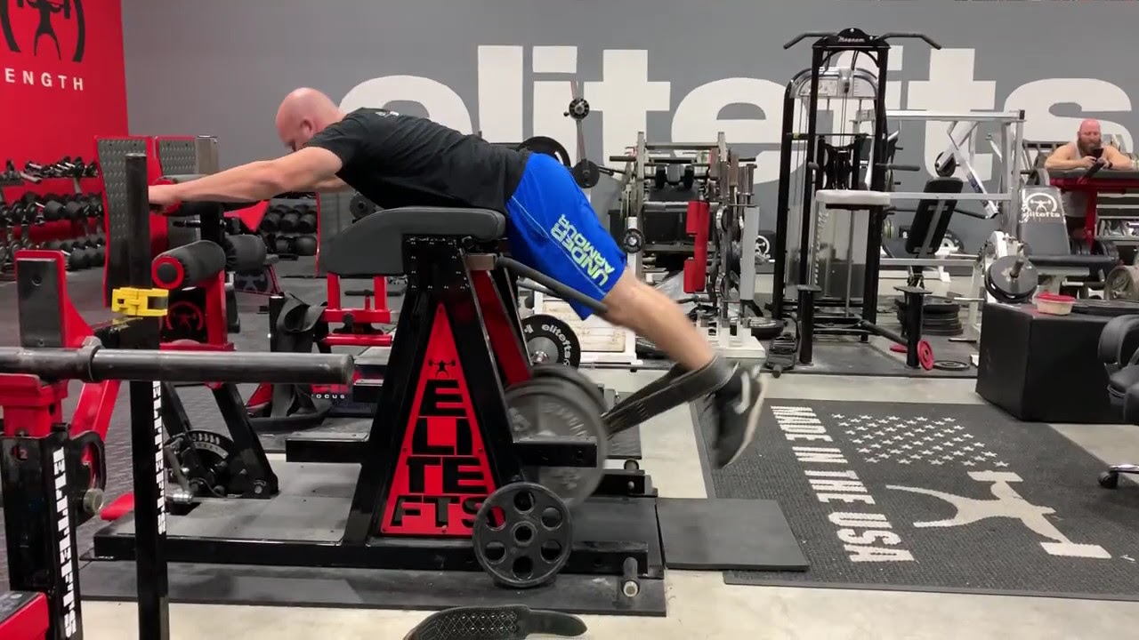 Reverse Hyper Demonstration - YouTube