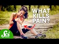 Why We Have Pain, & How We Kill It