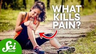 why we have pain how we kill it