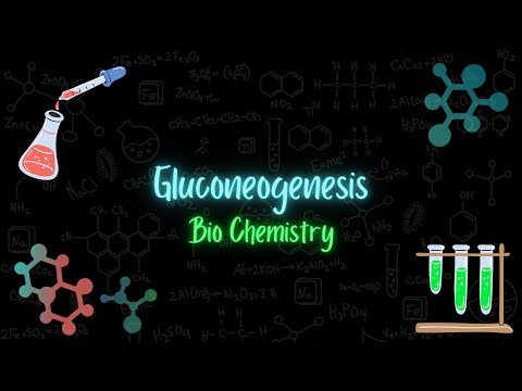 Gluconeogenesis - استحداث الغلوكوز - Bio chemistry - تعلم بالعربي