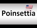 How to Pronounce Poinsettia in American English (USA)
