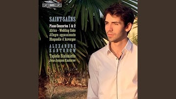 Piano Concerto No. 1 in D Major, Op. 17, R. 185: II. Andante sostenuto, quasi adagio