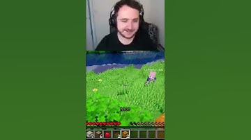 is ldshadowlady pregnant??