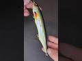 Каната 180 мм из дерева #воблер #fishing #джерк #рыбалка #минноу #щука #трофей