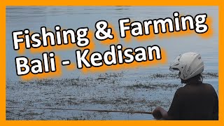Indonesia - Bali - Kedisan - A Fishing and Farming Village on the Danau Batur Lake