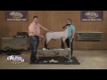 Show Sheep Shearing