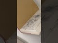 Cuando los niños ven por primera ves los dibujos de Picasso. #fyp #familyvan #autocaravana #niños