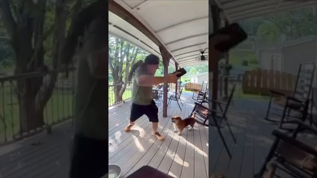 Guy gets attacked by angry squirrel 😭🐿️ 