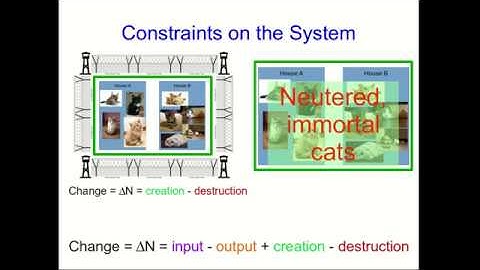 CBU PHYS 1104 - Momentum Lecture 3: Systems (Part 3)