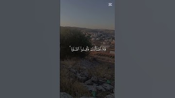 سورة النساء القران الكريم بصوت جميل #القرآن_الكريم #المصحف #اكسبلور #لايك