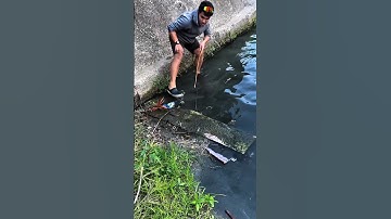 sometime fishing game of luck, fish catching, Fish Hunting#fish