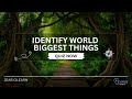 Test your knowledge: Can you identify the world's biggest things?