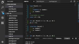 TypeScript 033  - Interface의 Readonly property