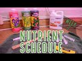Week 2 how to feed autoflowers  our nutrient schedule