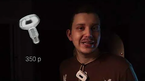 Сколько стоит содержать Бородатую Агаму?