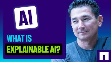 Explainable AI: Building Systems You Can Trust
