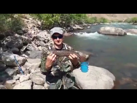 Рыбалка, форель, Кокомерен, Кыргызстан