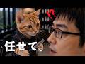【神技】ねこ美容師にカットを任せたら最高の仕上がりだった