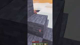 I Tried to Save this Villager with my Phone in Minecraft 📱🔥💥 #shorts