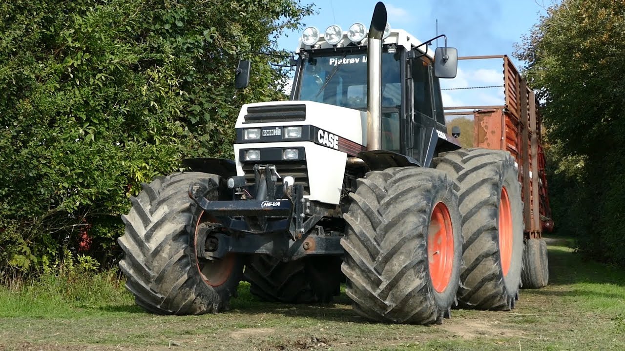 New Holland 1905 & Case 2294 working in the field chopping corn | Danish Agriculture