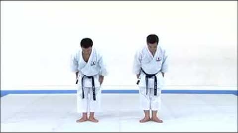 SAIFA Kata & Bunkai