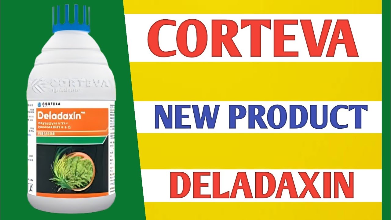 Deladaxin _ Corteva New Insecticide Product Lounch Deldaxin Full Details _ Farming India Rammehar 