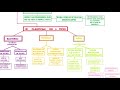 PROYECTO CORONAVIRUS  PARTE 8 EXPLICACION