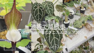 vlog |池袋で草散歩 オーキッド&ボタニカルフェア 2025