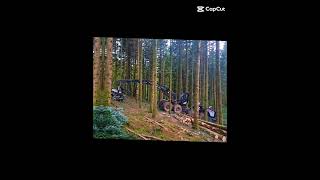 abbatage de bois#logset12h#komatsu#bois#abatage#forestery