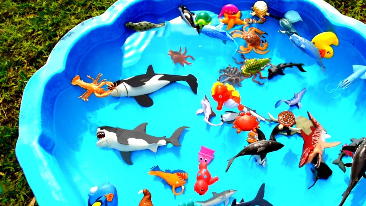 Box Of Toys Learn Sea Animal Names With Shark Ocean Creature Beach