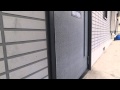 Cat welcome 玄関開けたら0秒でにゃんこ♪ - 0 sec. -