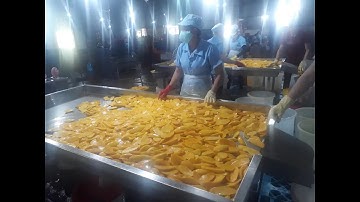 (Nanufood) Sản xuất xoài sấy dẻo Nanufood