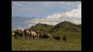 Dombra Kazak Halyk Küyi - Nar idirgen(Нар идiрген) Resimi