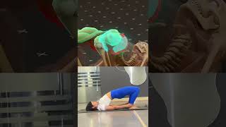 💪🏻Lower back pain often starts with weak glutes. #LowerBackPain #shorts #glutebridge