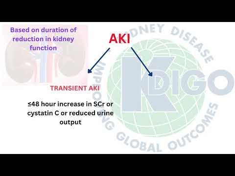 AKI Definition Update KDIGO 2026