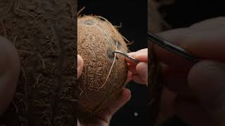 Slowly pulling a single coconut fiber 🥥🪝#ASMR #MacroVideo #Coconut #OddlySatisfying #Texture