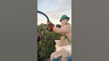 Nối lưới điện thành công