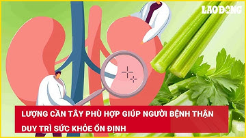 Lượng cần tây phù hợp giúp người bệnh thận duy trì sức khỏe ổn định| Báo Lao Động