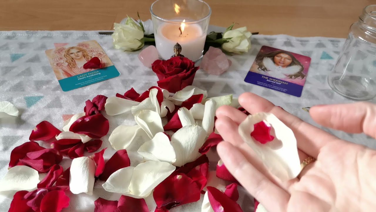 🌹 Will You Reconcile & Other Love Messages // Rose Petals Reading #Roseomancy