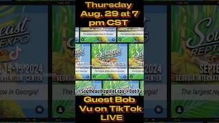 Bob Vu will be on #noughtybusiness this #thursday #tiktok #ballpython #success #southeastreptileexpo