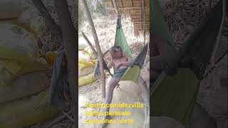 Mula sa puso camilocomidezvillacarlos buhay meniro sapalaran sa hirap nang buhay