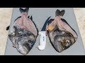 How To Fillet Sheepshead!